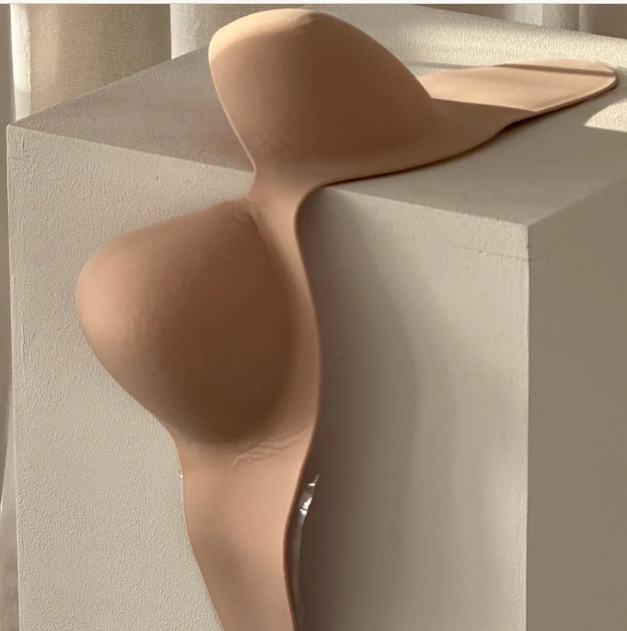Pack Silhouette™ –2 Brassieres Adhesivos Reutilizables