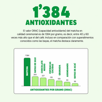 Matcha Puro 100 gr