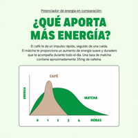 Matcha Puro 100 gr