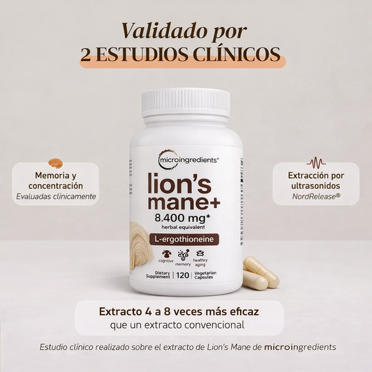 Melena de León 120 Cápsulas Premium – Nutrición Natural para tu Mente