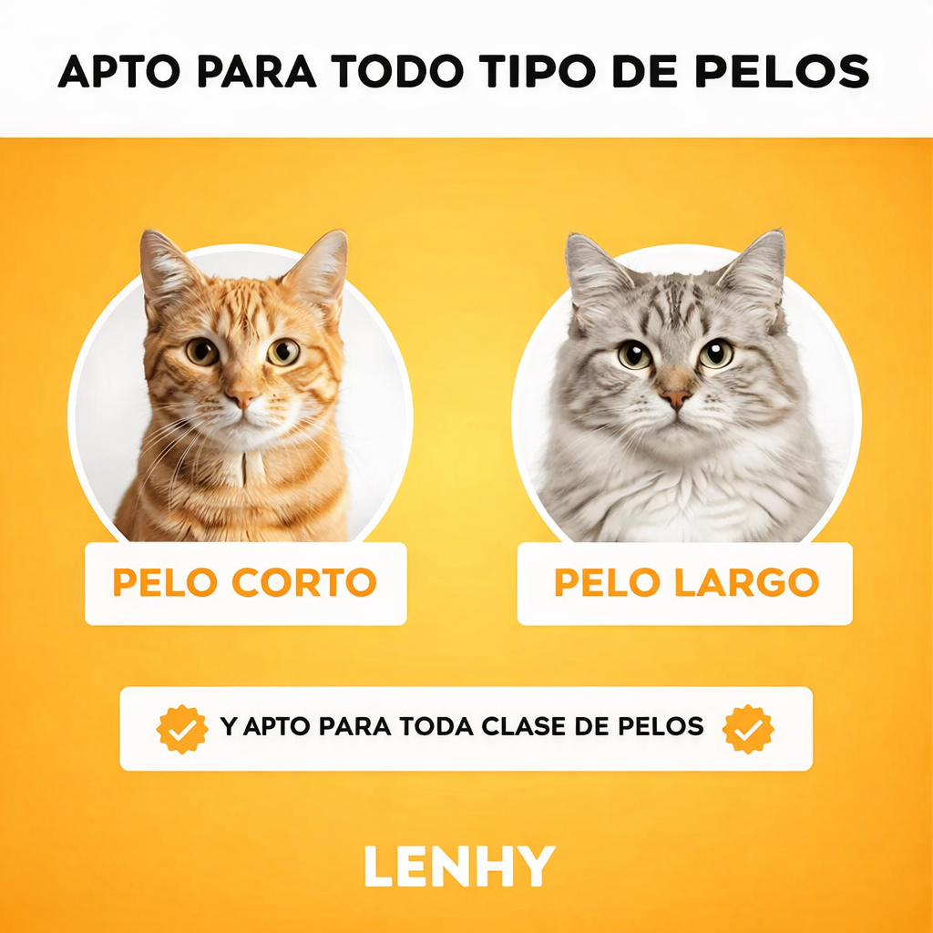 Encabezado