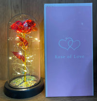 Rosa Eterna con Luz LED | El Regalo Perfecto