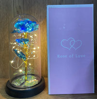 Rosa Eterna con Luz LED | El Regalo Perfecto