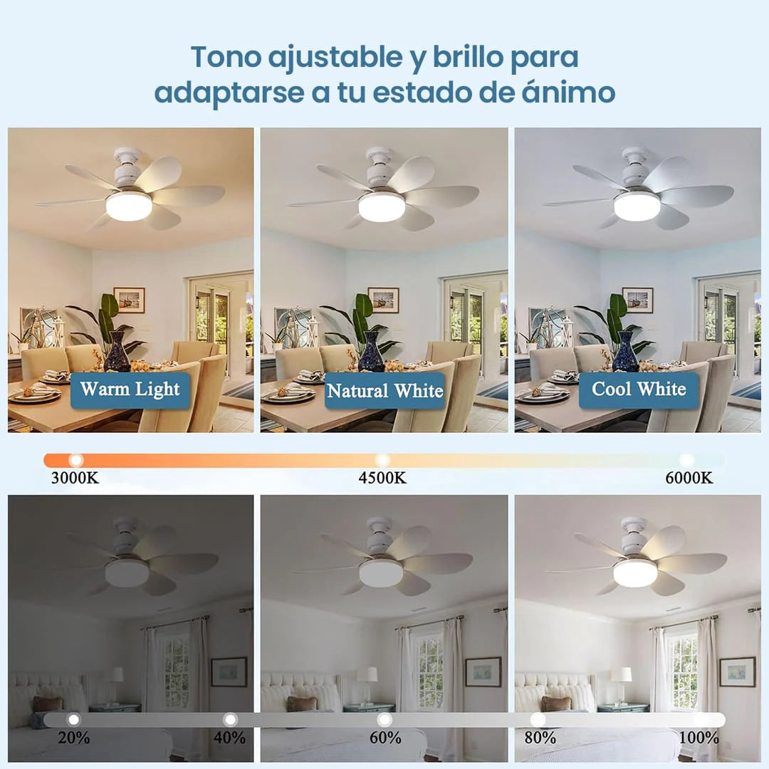 Encabezado