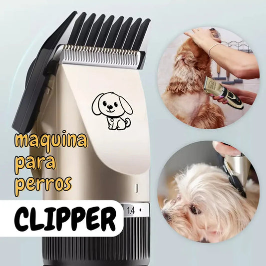 🐾 Kit Pro de Peluquería para Mascotas  + Tutorial de Cortes 🎁 GRATIS 🐶🐱