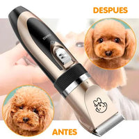 🐾 Kit Pro de Peluquería para Mascotas  + Tutorial de Cortes 🎁 GRATIS 🐶🐱